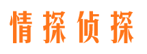 衡水捉小三公司